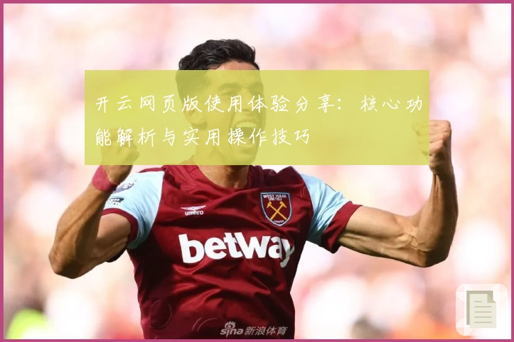 开云网页版使用体验分享：核心功能解析与实用操作技巧