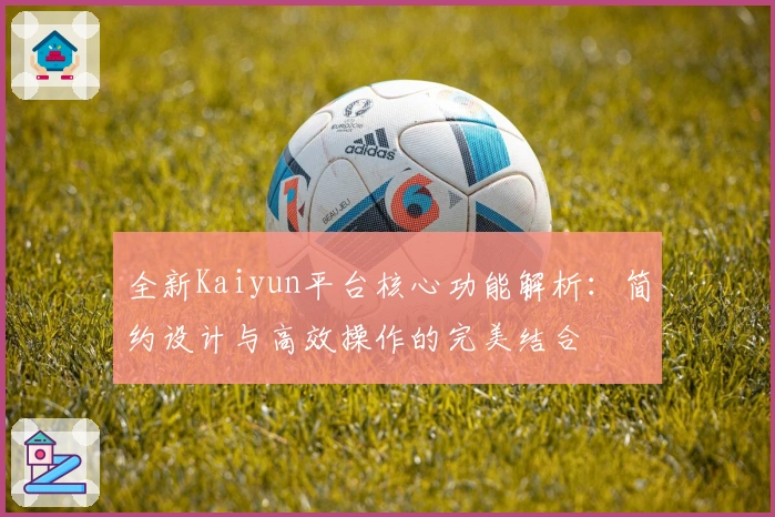 全新Kaiyun平台核心功能解析：简约设计与高效操作的完美结合